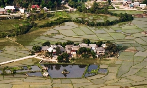 Mai Chau - Cuc Phuong National Park (3Days 2Nights - Private Tour)
