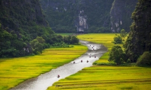 Hanoi: Ninh Binh Day Trip with Tam Coc, Hoa Lu, and Mua Cave