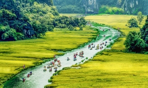 Vietnam Explorer: 10 Days Through North, Central & South
