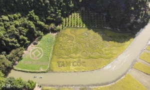 Hanoi: Ninh Binh Day Trip with Tam Coc, Hoa Lu, and Mua Cave