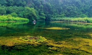 From Hanoi: Ninh Binh, Trang An, Bai Dinh, and Mua Cave Trip