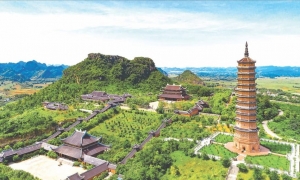 From Hanoi: Ninh Binh, Trang An, Bai Dinh, and Mua Cave Trip