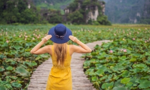 From Hanoi: 1D group tour to visit Ninh Binh - Lunch & Bus