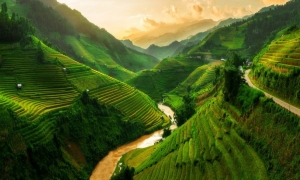 Sapa Tour By Bus 2 Days 1 Night 3-Star Hotel in Sapa (Option 2)
