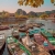 Hanoi: Ninh Binh Day Trip with Tam Coc, Hoa Lu, and Mua Cave