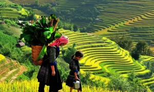 Sapa Tour By Bus 2 Days 1 Night 3-Star Hotel in Sapa (Option 2)