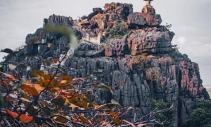 From Hanoi: Trang An Boat, Bai Dinh Pagoda, & Mua Cave Tour