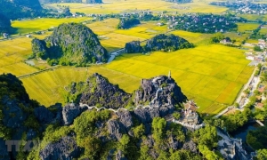 Hanoi: Ninh Binh Day Trip with Tam Coc, Hoa Lu, and Mua Cave