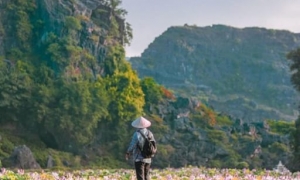 From Hanoi: Trang An Boat, Bai Dinh Pagoda, & Mua Cave Tour
