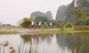From Hanoi: 1D group tour to visit Ninh Binh - Lunch & Bus