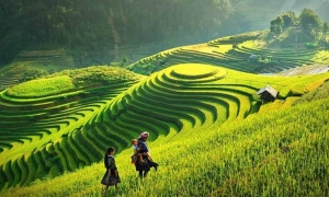 Sapa Tour By Bus 2 Days 1 Night 3-Star Hotel in Sapa (Option 2)